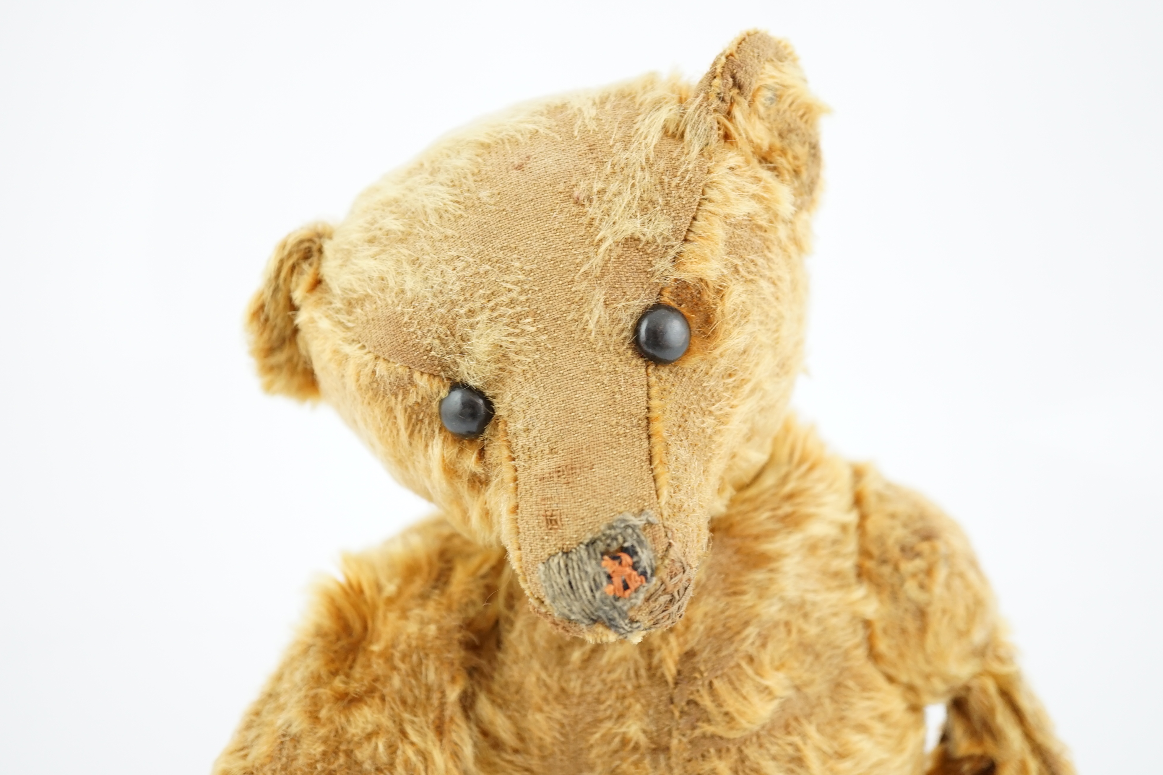 A cinnamon Steiff bear c.1908, with button paw pads, stuffing missing in arms, hair loss to head, muzzle repaired, general hair loss, 41cm